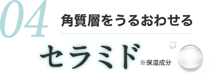 角質層をうるおわせる　セラミド
