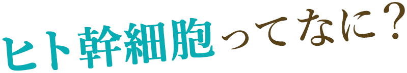 ヒト幹細胞ってなに?